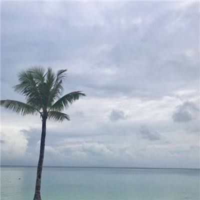 最后的小姐姐游戏